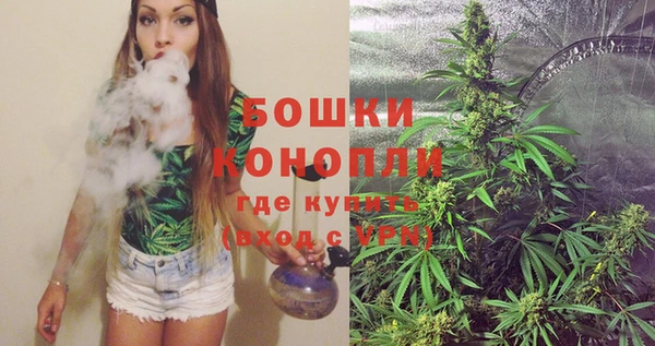 стафф Каменногорск