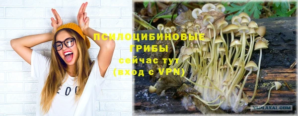 каннабис Каменка