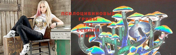 стафф Каменногорск