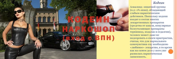 стафф Каменногорск