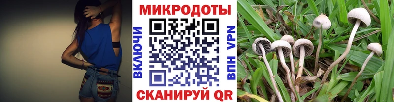 Купить где  Суджа  Галлюциногенные грибы Magic Shrooms 